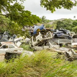 car-graveyard-wreckage-old-crashed-scrapped-motor-vehicles-trucks-cars-vans-dumped-tall-guinea-grassland-green-135965076